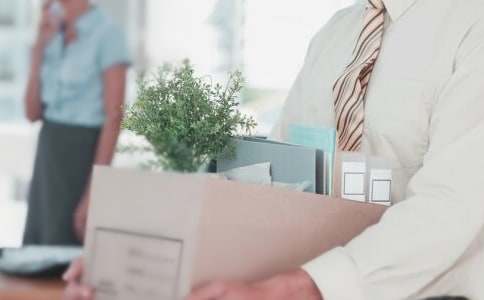 ������ְ�ĸ���������