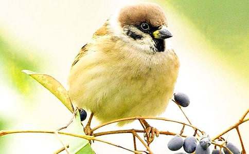 ����ȸ����ѧ��˼