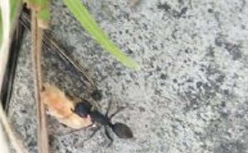 ����������ϡ���ѧ��˼(����)