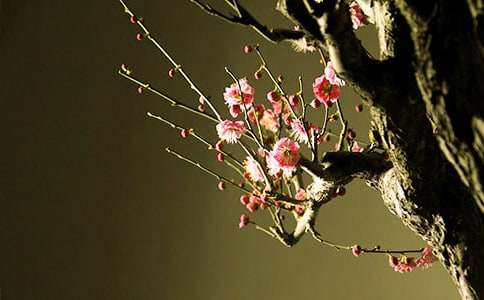 ÷�����ѧ��ƽ̰�