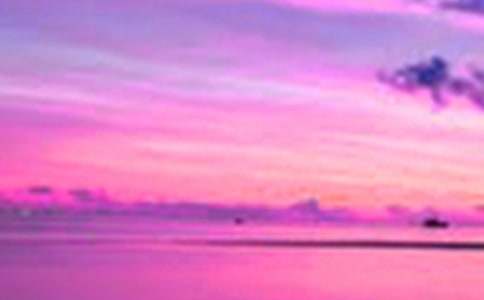 关于四年级美景作文300字46篇