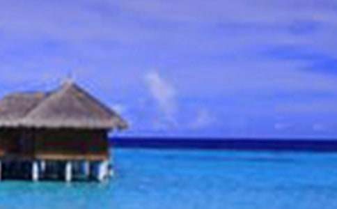 写四季美景的作文初一