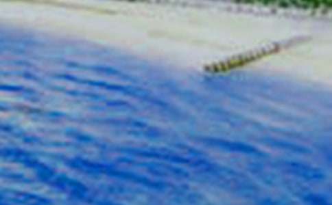 ���꼶��������