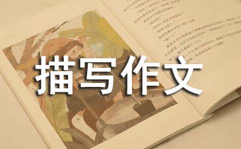 ����������д���ļ���8ƪ