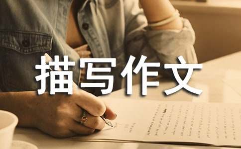 ����������д���Ļ��8ƪ