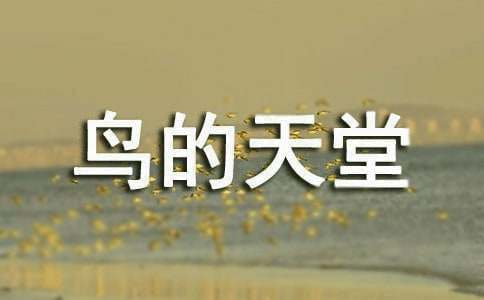 ����ѡ����������á���ѧ���