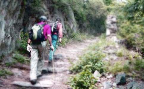 爬山活动策划书(15篇)