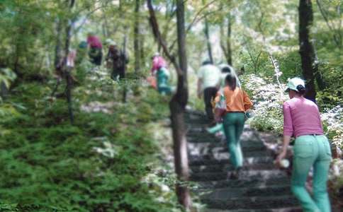 爬山小学日记20篇