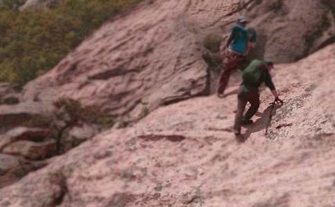 《爬山虎的脚》教学反思(通用20篇)