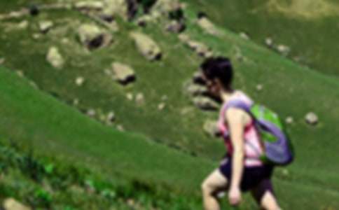 ��ɽ��߻�