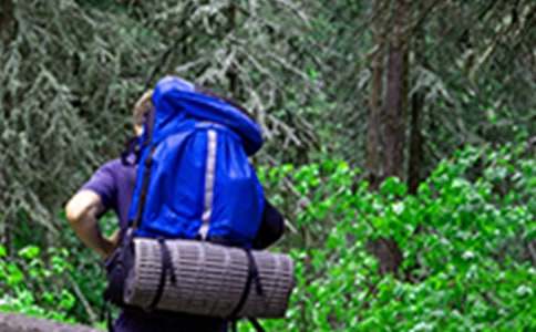 �й����꼶��ɽ����300�ֻ��9ƪ