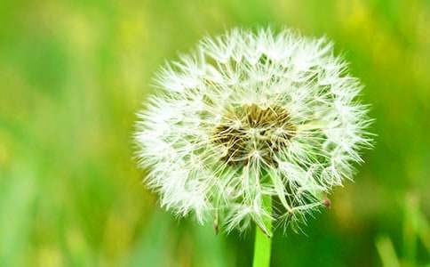 �а����ֽ̰�����ѧ��˼������СС�ѹ�Ӣ��