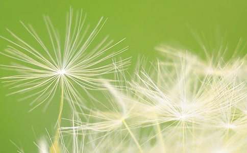 ���ѹ�Ӣ��һ�ν�ѧ��˼