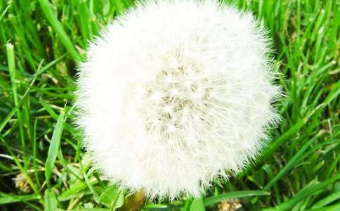 �а����Խ̰����ѹ�Ӣ