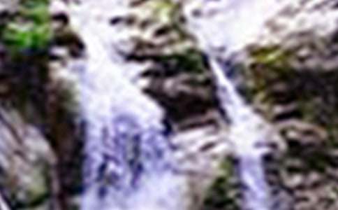 �ƹ����ٲ��̰�3ƪ