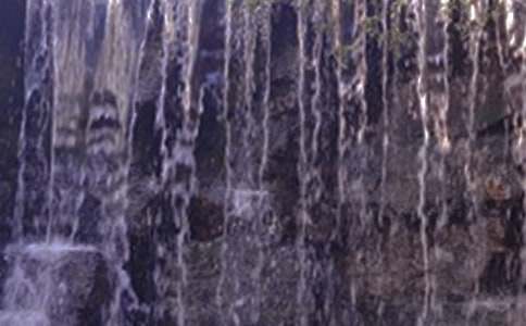 ���ƹ����ٲ�����ѧ���(15ƪ)