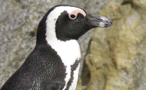 �ɰ�������ѧ��˼��ͨ��8ƪ��