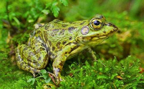 ��С�����Ҽҡ���ѧ��˼