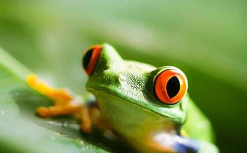 ��С���ܡ��̰�