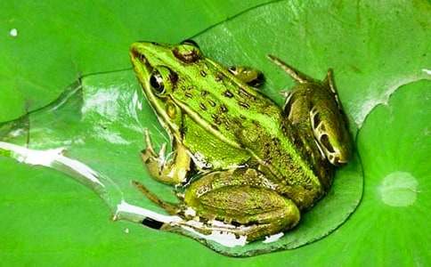 ����дʫ��ѧ��˼15ƪ