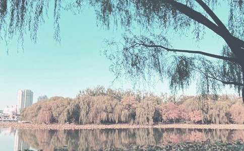 ����＾ѧ�ڽ�ѧ�ƻ�