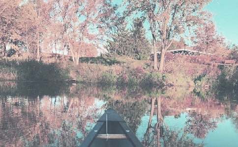 秋季教学总结范文集合6篇