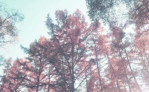 秋季教学总结锦集九篇