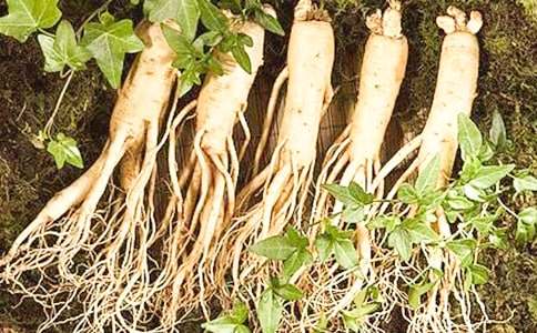 �̳��˲μ�����������