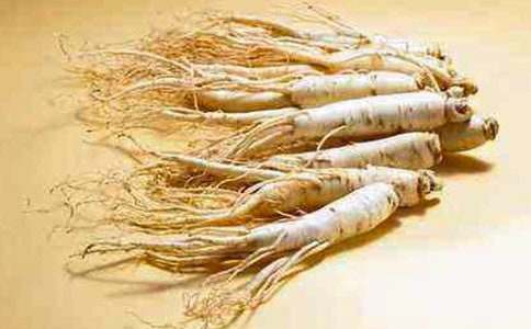 机器人参赛总结