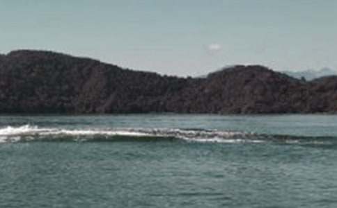 ������̶����ѧ���(��ѡ15ƪ)