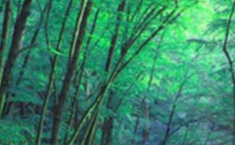 ɭ�ֱ������(��ȫ15ƪ)