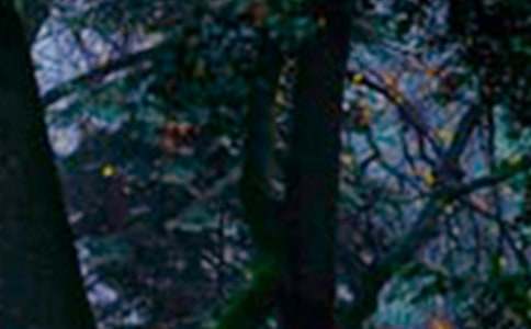 ɭ�ֱ�����У���ѡ40ƪ��