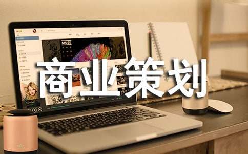 商业策划【必备】