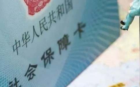 �����籣������(15ƪ)