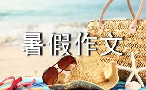 【精选】四年级暑假作文300字三篇