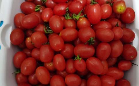 ���ϼ���ˮ���괴ҵ�ƻ���