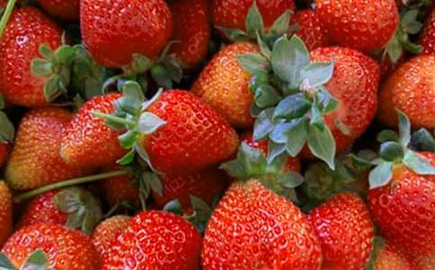 《水果王国》说课稿