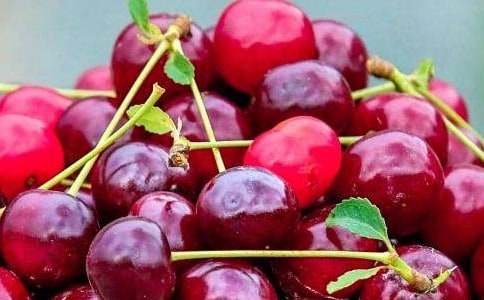 【集合】水果营销策划书