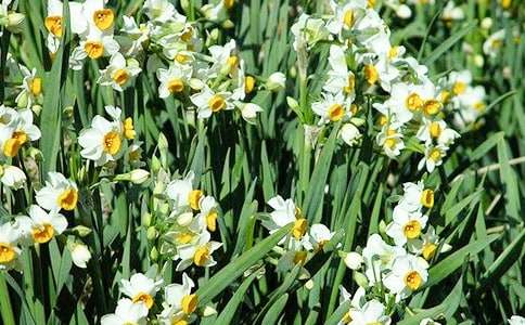 ���Ƽ���ˮ�ɻ��۲��ռǺϼ�5ƪ