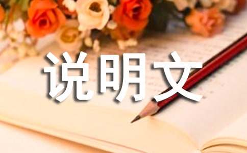 有关说明文作文300字集锦五篇