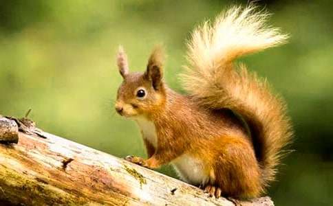 ���ܽ����������󡷽�ѧ��˼