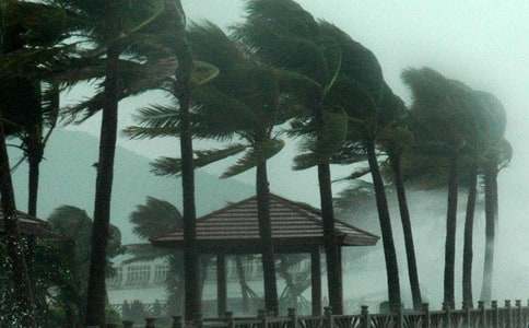 ̨����ռǣ���ѡ27ƪ��