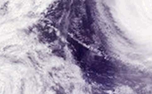 ̨������ο����