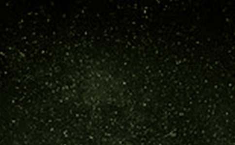 ����Ա̫���ڿιۺ��