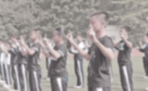 Сѧ������ѧ�����ܽ����15ƪ