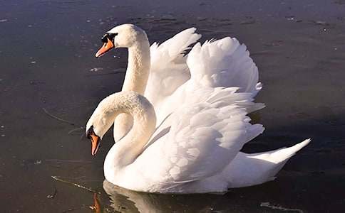 �ۡ��������и����ľ���