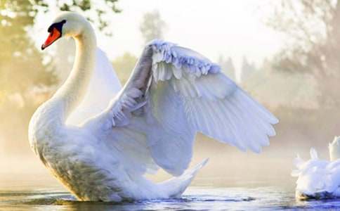 ����С�ŵ���졷�����(�ϼ�15ƪ)