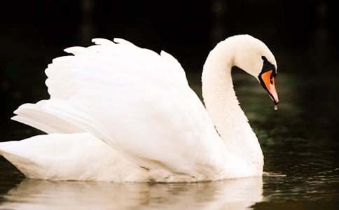 ���������ˮ���������(ͨ��15ƪ)