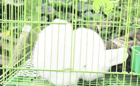 ʵ�õ����꼶���ӵ�����ʮƪ