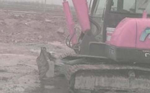 С�ھ�����޺�ͬ12ƪ